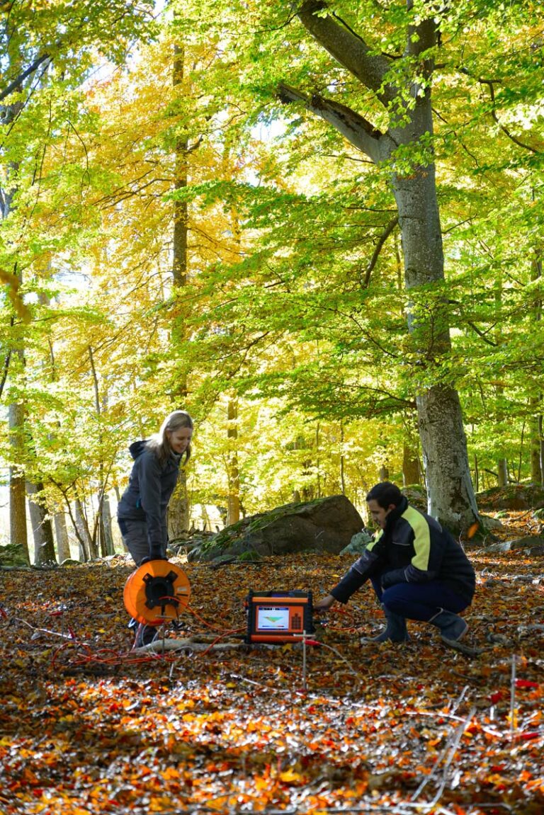 Application area: Electrical Resistivity and Induced Polarization