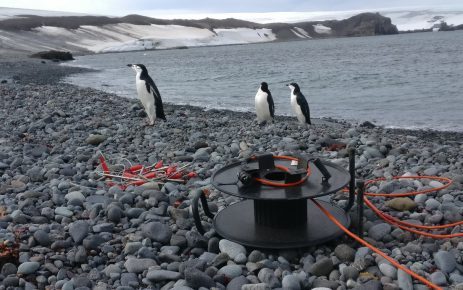 geophysical identification of permafrost in Antarctica using the resistivity meter