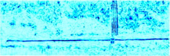 multichannel array investigation is carried out with MIRA HDR